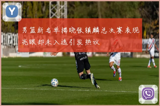 男篮新名单揭晓张镇麟总决赛表现亮眼却未入选引发热议